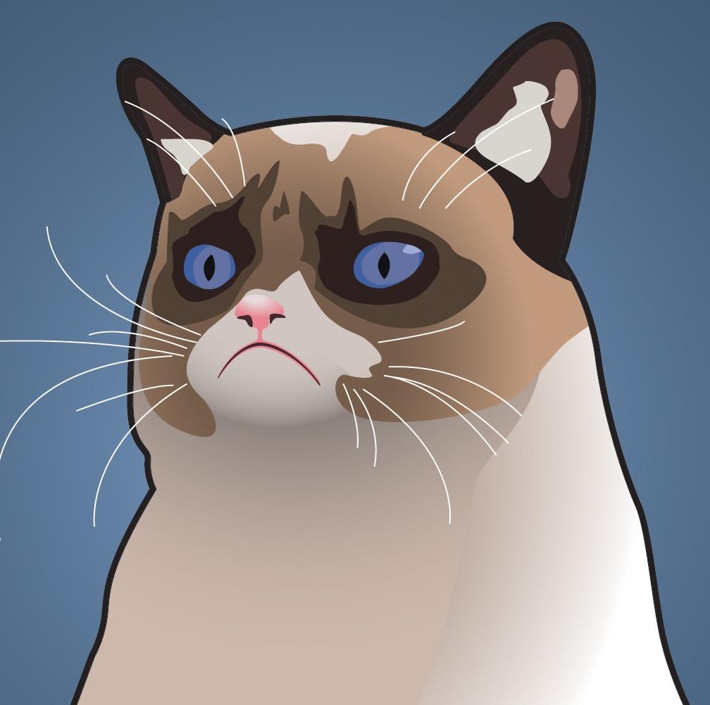 SyebC (Angry cat) · GitHub